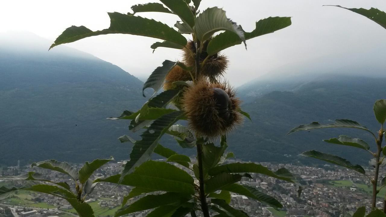 Agriturismo Da Ysy Civo 외부 사진